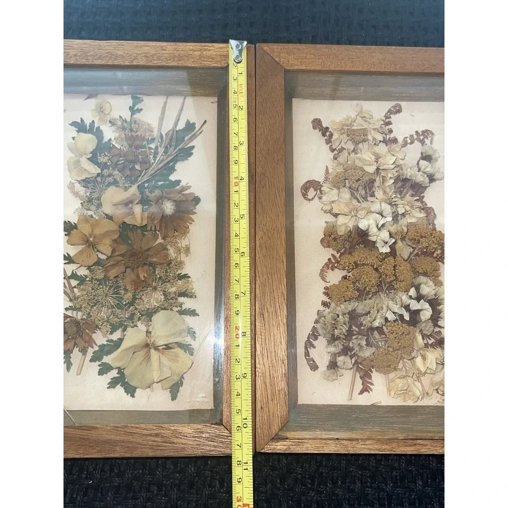 Vintage Dried Flowers Petals In Shadow Box Wood‎ Framed Wall Art Set of 2